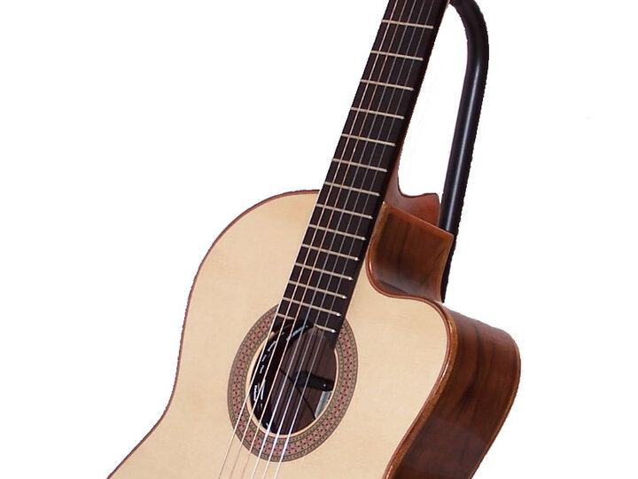 Cut Away model guitar